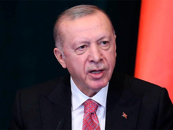 Эрдоган рвется в миротворцы