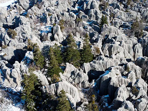 Тайное лицо Анталии стало известным