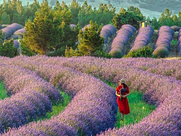 Развитие агротуризма в регионах Антальи, Бурдюра и Измира при поддержке европейского проекта