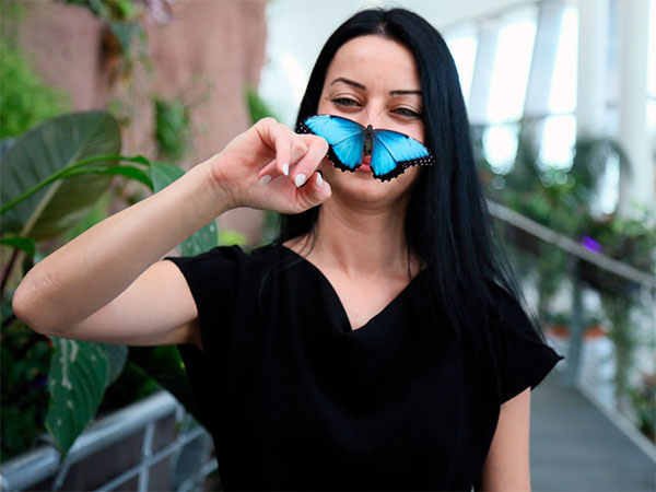 Новый парк Butterfly World приютил 20 тысяч бабочек со всего мира